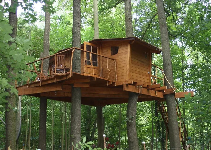 Treehouse V Brdech