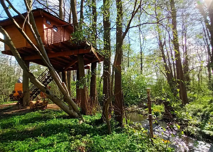 Treehouse V Brdech