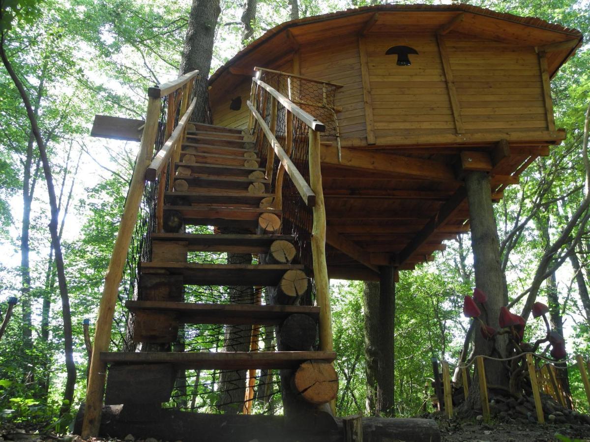 Treehouse V Brdech Chalet *