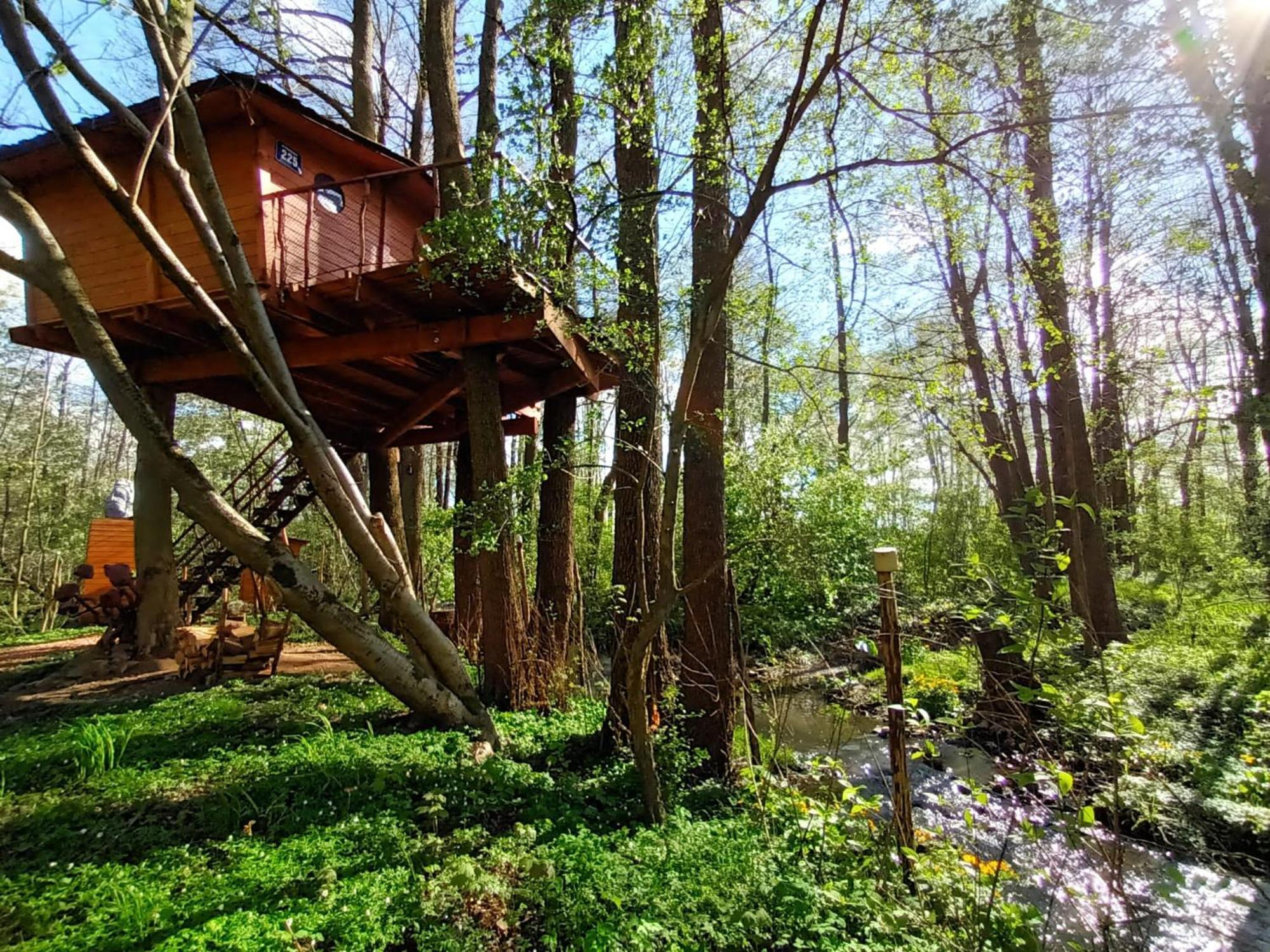Chalet Treehouse V Brdech *